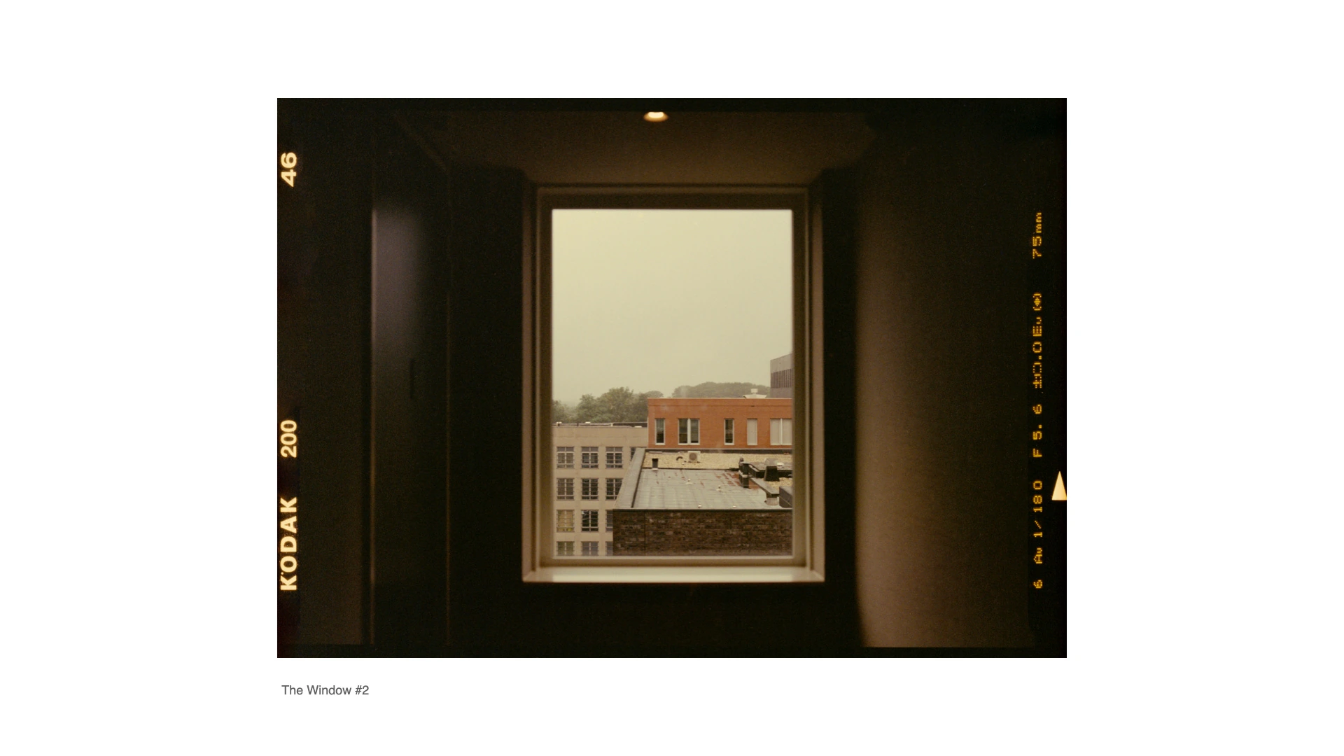 在窗边 Beside the Window · 7