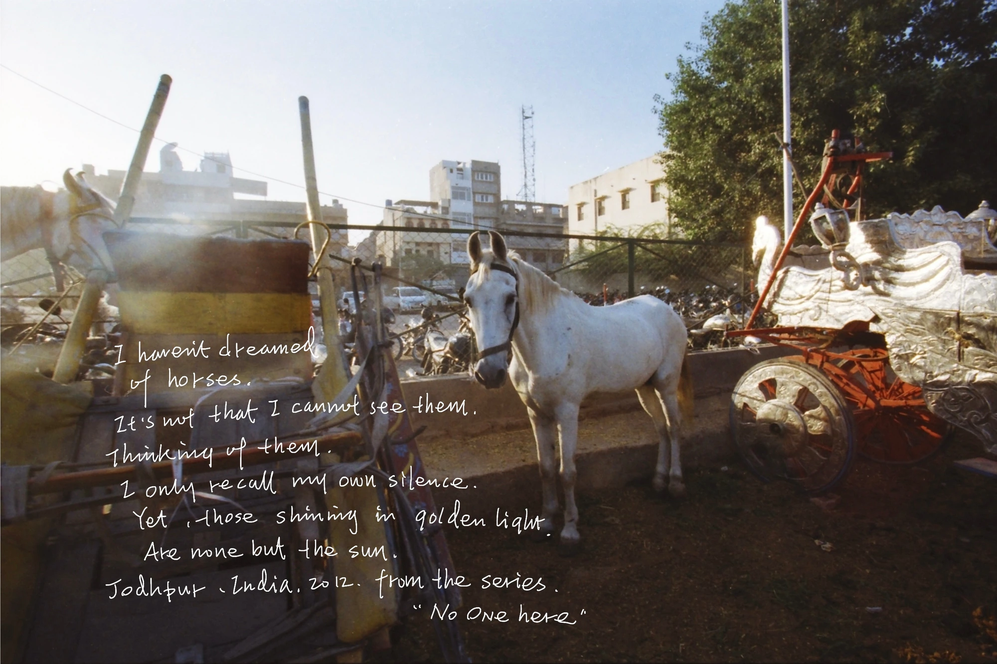 An Linan, selected photographs · 6