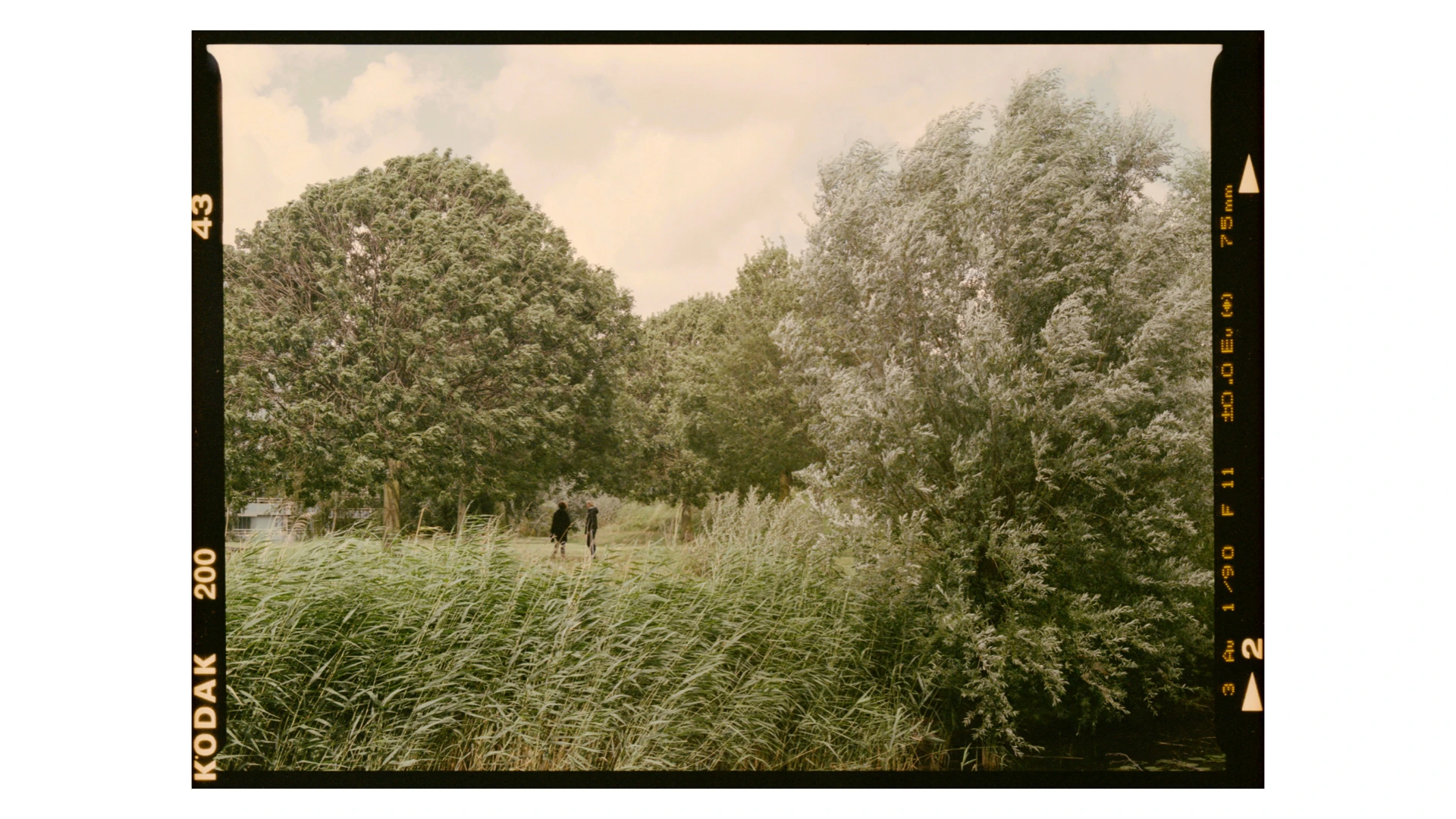 在窗边 Beside the Window · 8