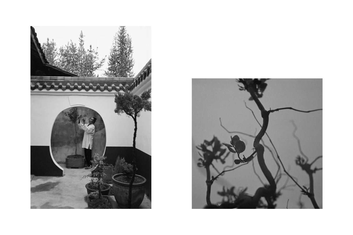 小道观 Little Taoist Temple · 28