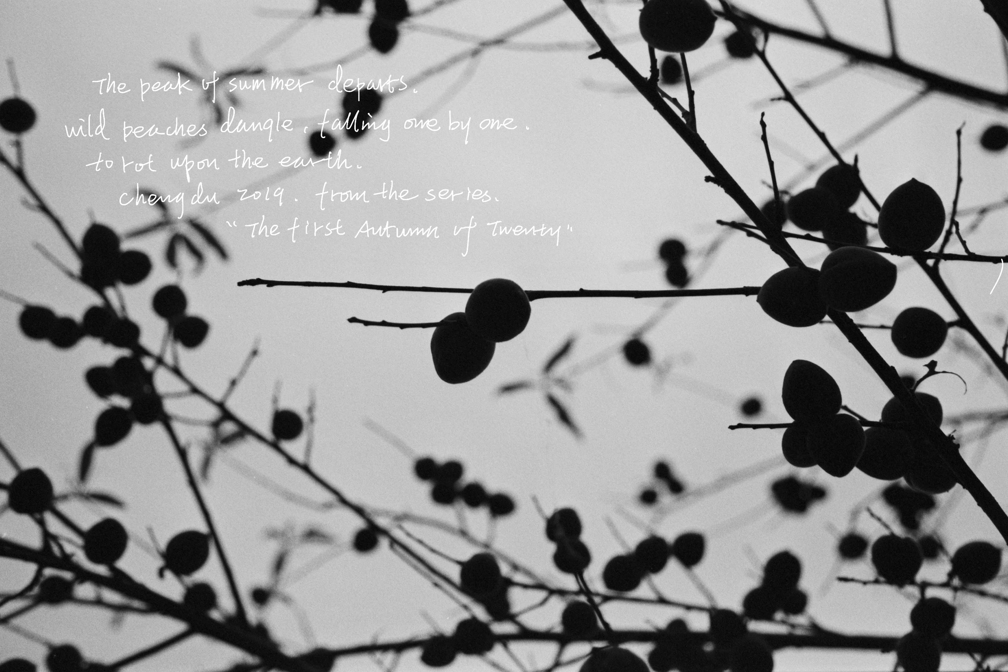 An Linan, selected photographs · 5