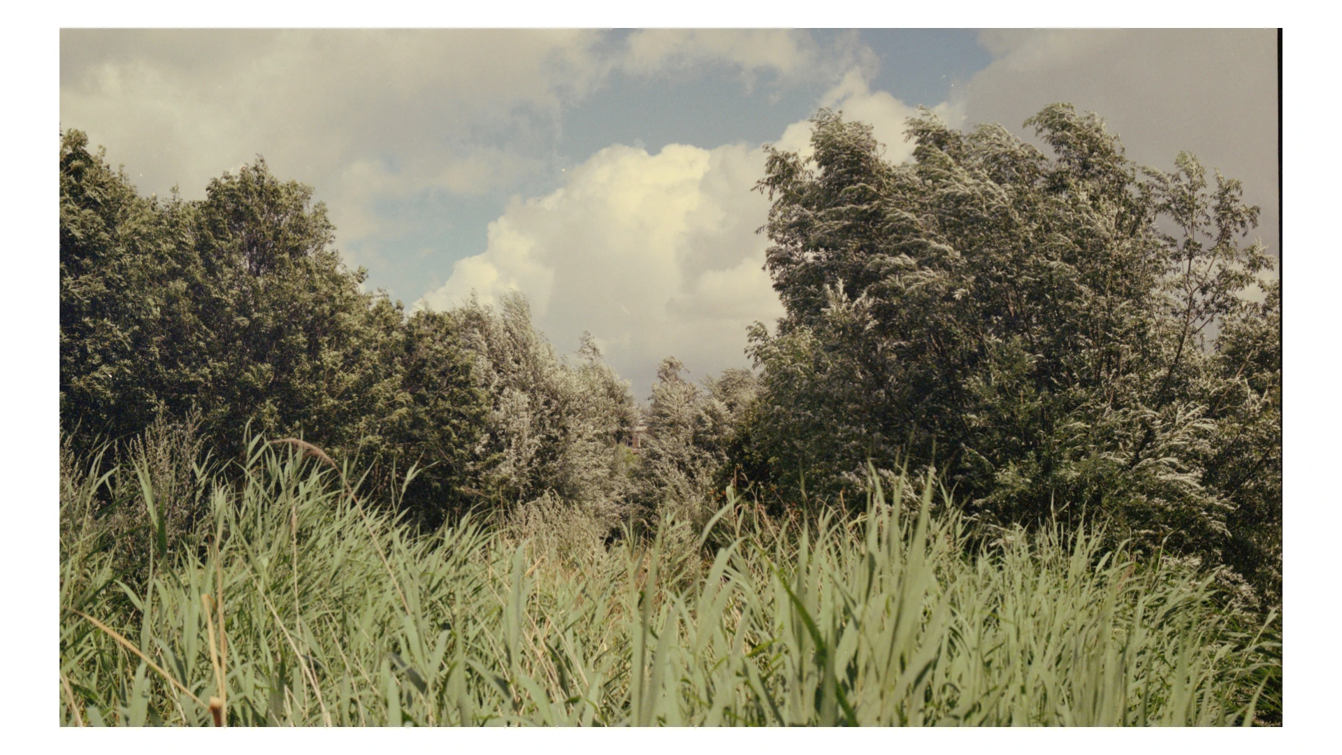 在窗边 Beside the Window · 18