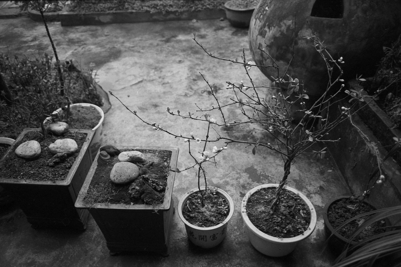 小道观 Little Taoist Temple · 26