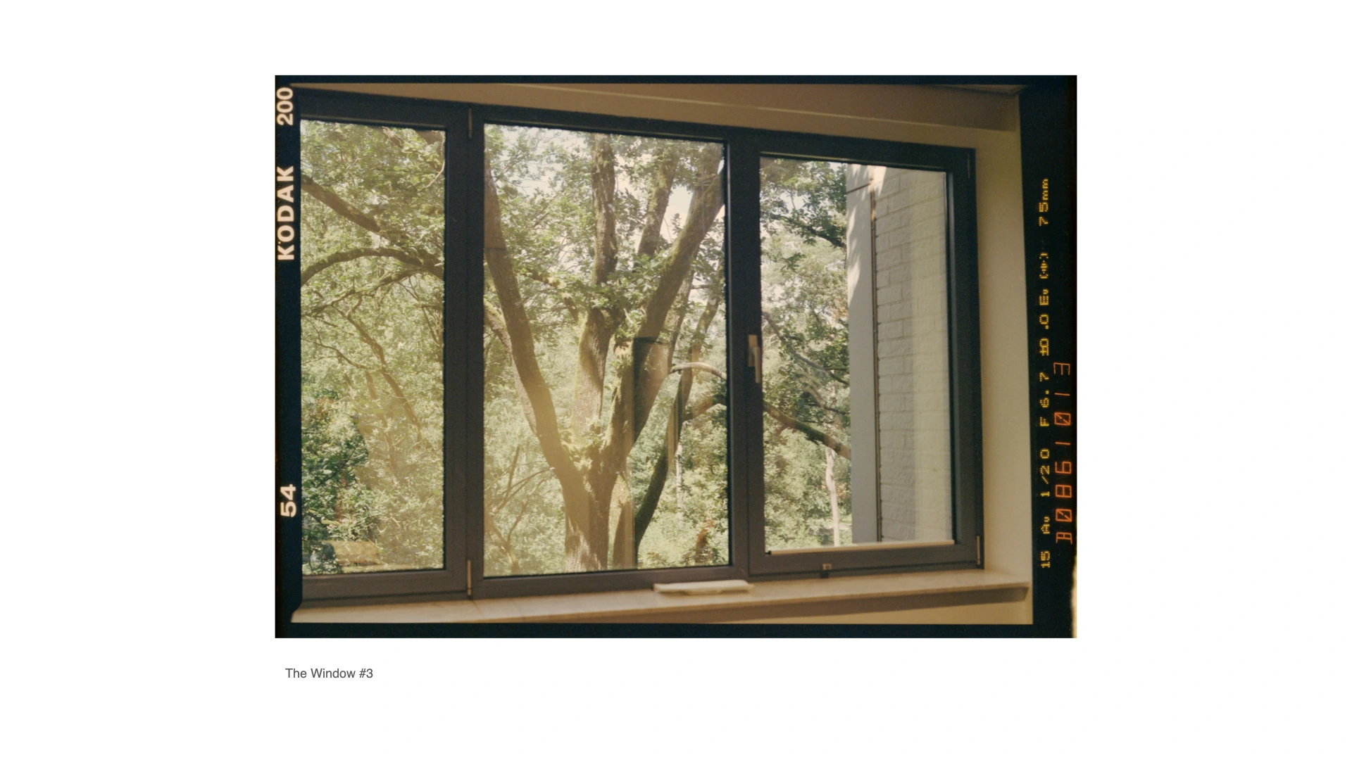 在窗边 Beside the Window · 13